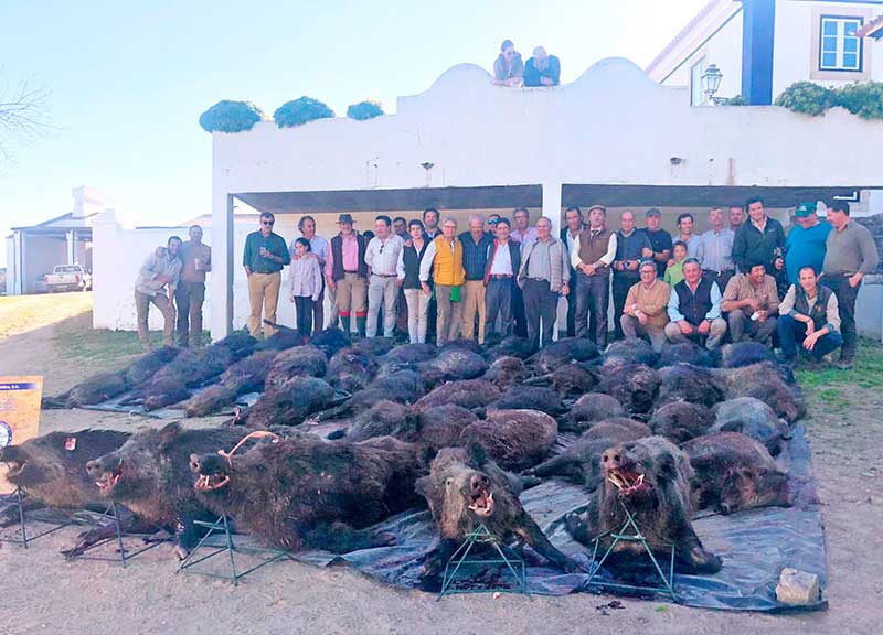 Resultado Montería Sao Martinho 2020 Puebla y Estellez