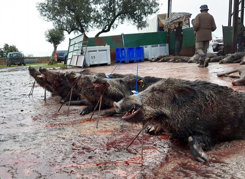 SierradelLugar201902