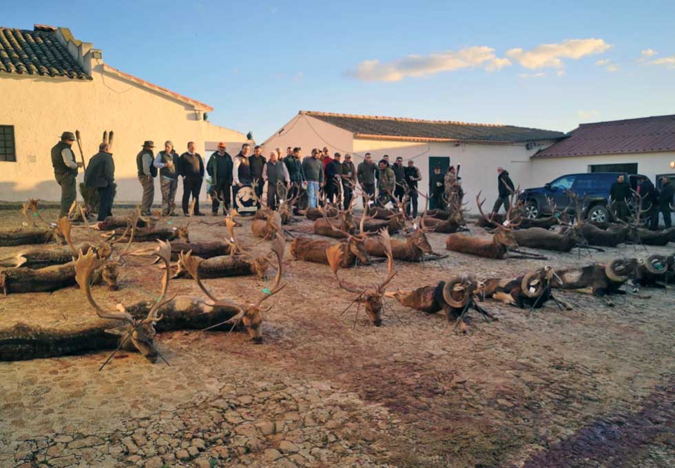 TiesasdelQuintanar201904