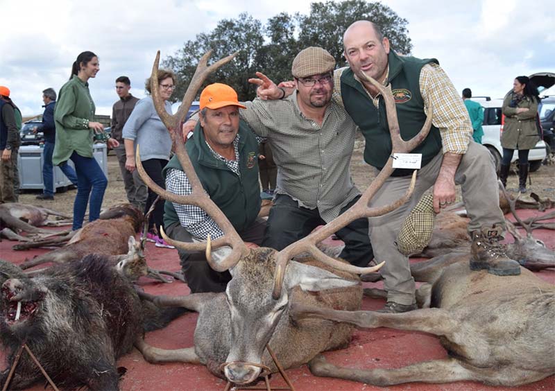 TorresHinojal201903