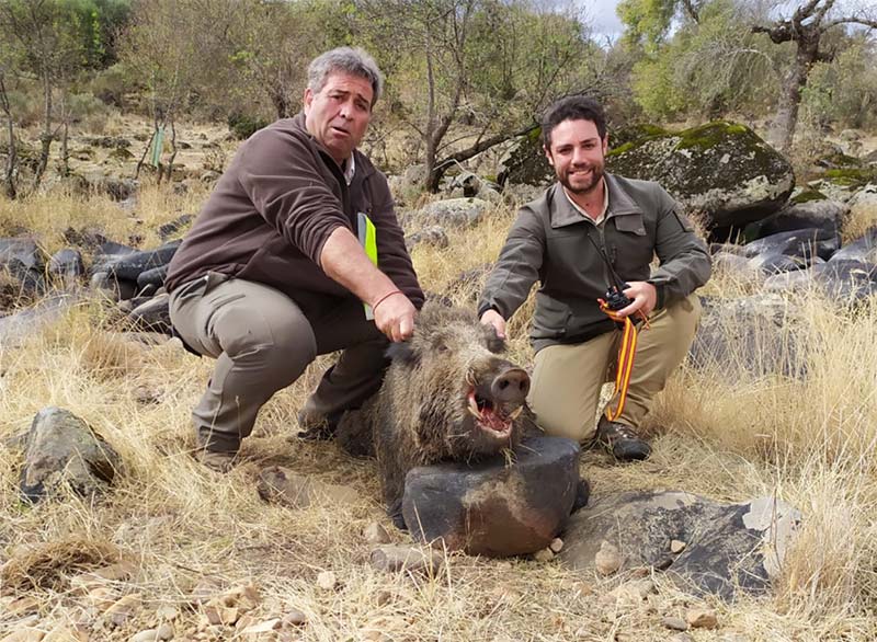 Resultado Montería Torres del Hinojal 2019 Cinegética Suroeste