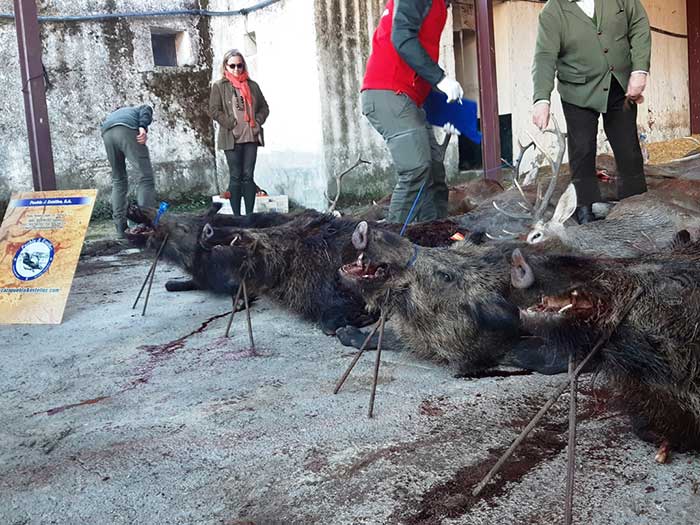 TorricoSanPedro202004