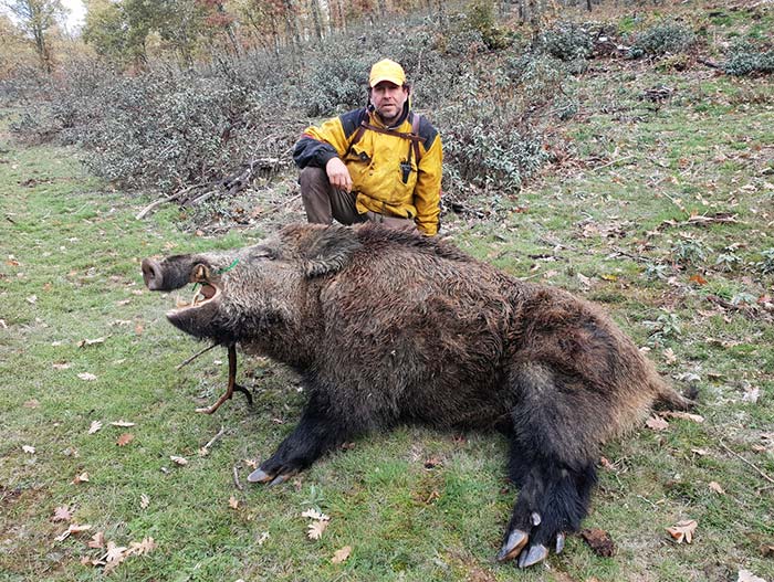 Valdelasfuentes201906