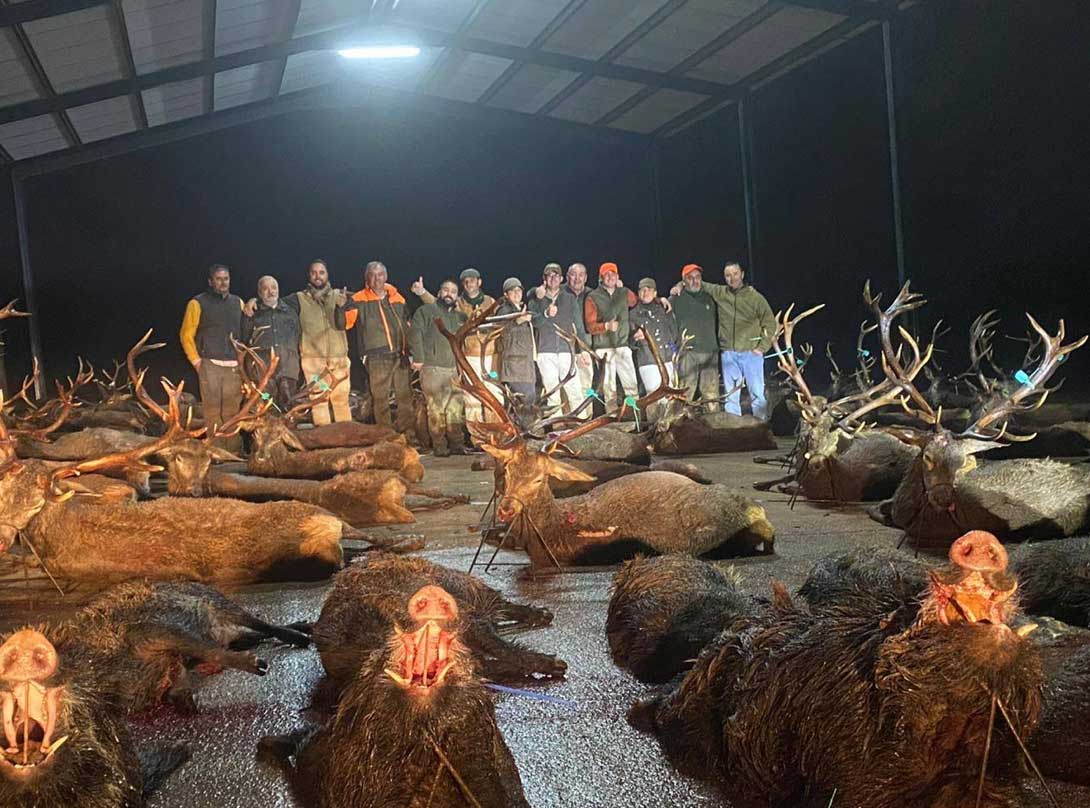 Resultado Montería Valle de San Juan 1 2020 Encicaza