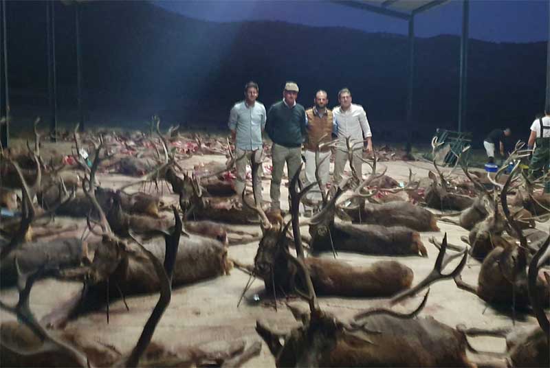 ValledeSanJuan1201901