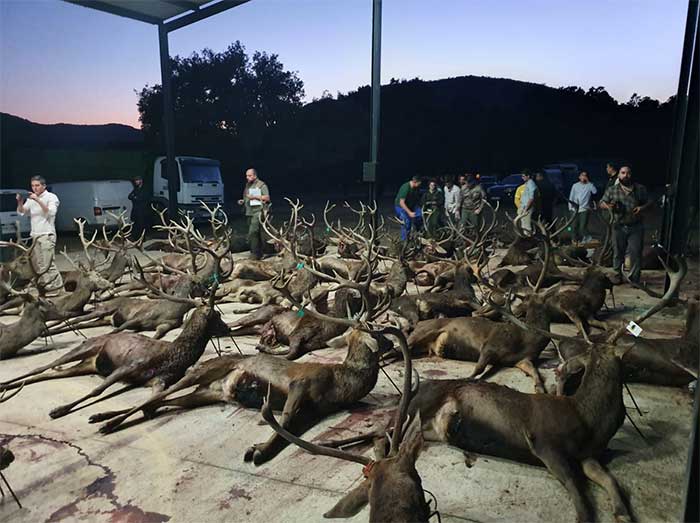 ValledeSanJuan1201904