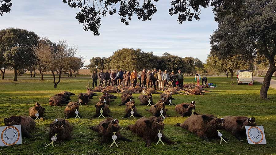Resultado Montería Villa del Lobo Gómez Caza S C