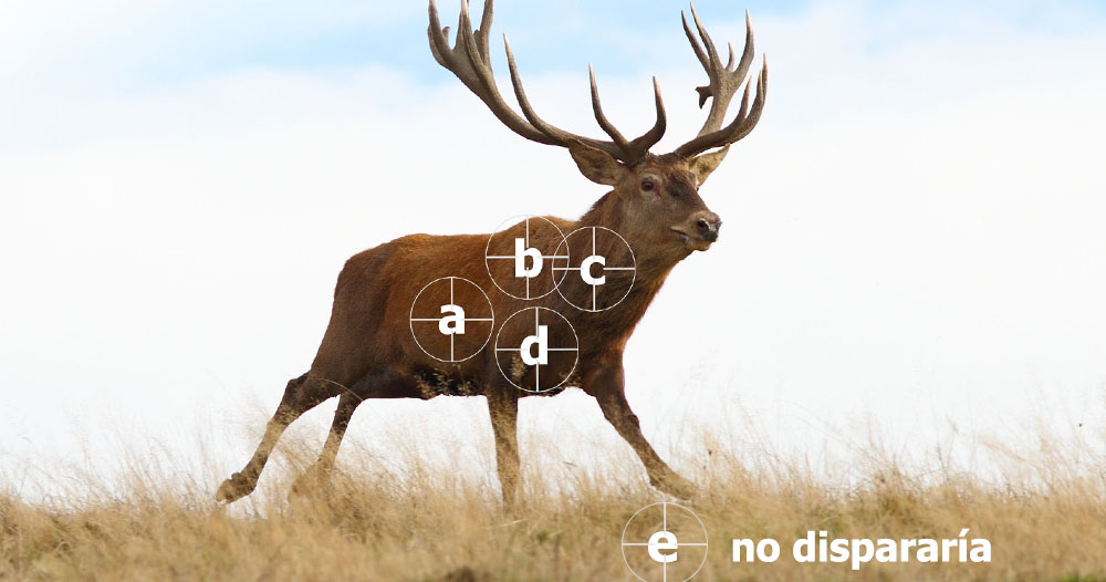 ver resultados
