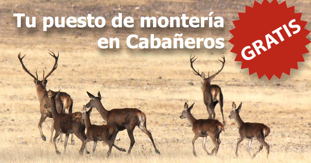 Resultado Sorteo de Puestos