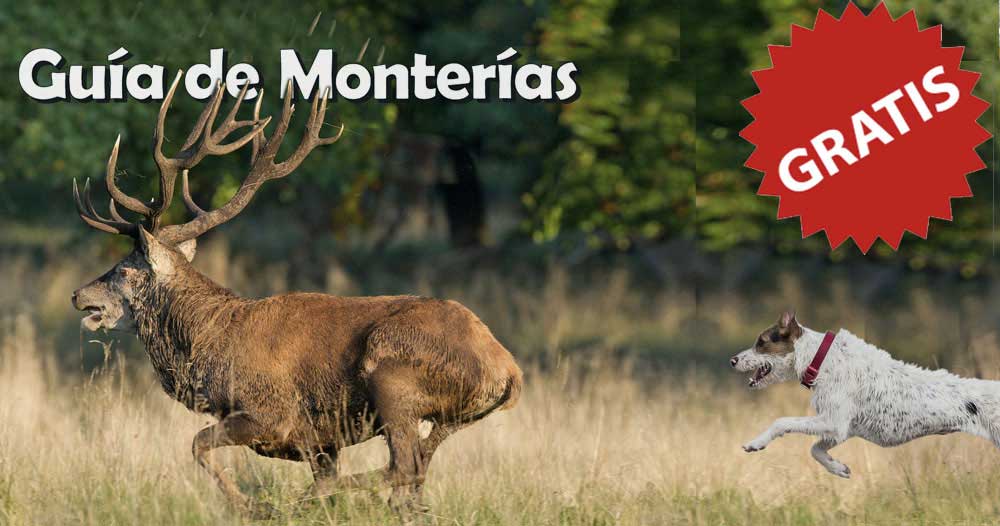 ¿Quieres montear gratis?