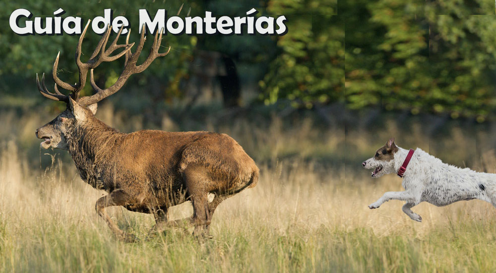 Las monterías se libran del coronavirus