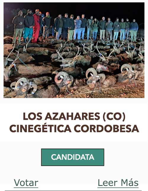 CandidatasPueblaEstellez Chaves