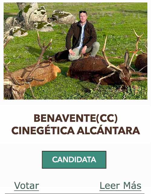 CandidatasPueblaEstellez Chaves