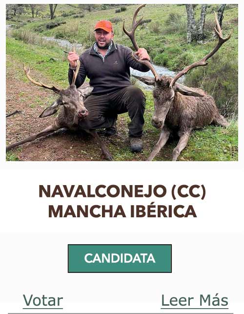 CandidatasPueblaEstellez Chaves