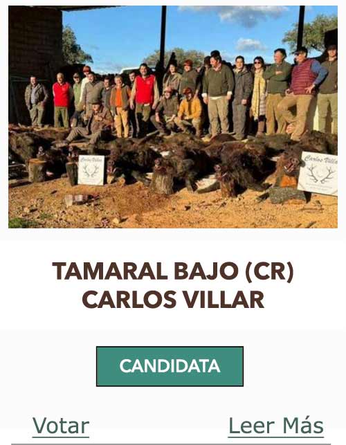 CandidatasPueblaEstellez Chaves