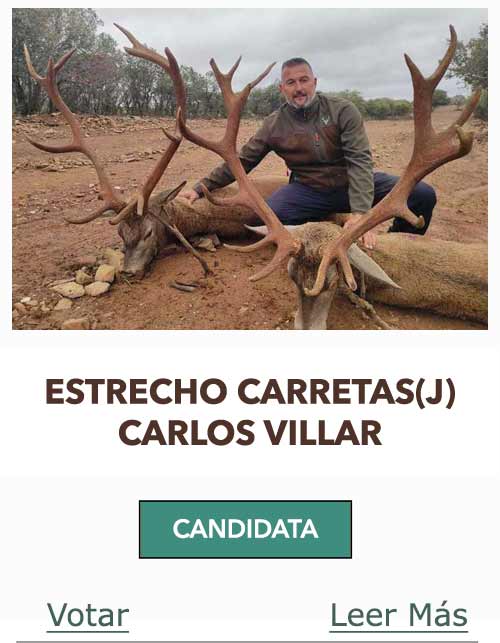 CandidatasPueblaEstellez Chaves