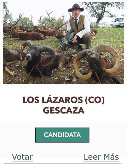 CandidatasPueblaEstellez Chaves