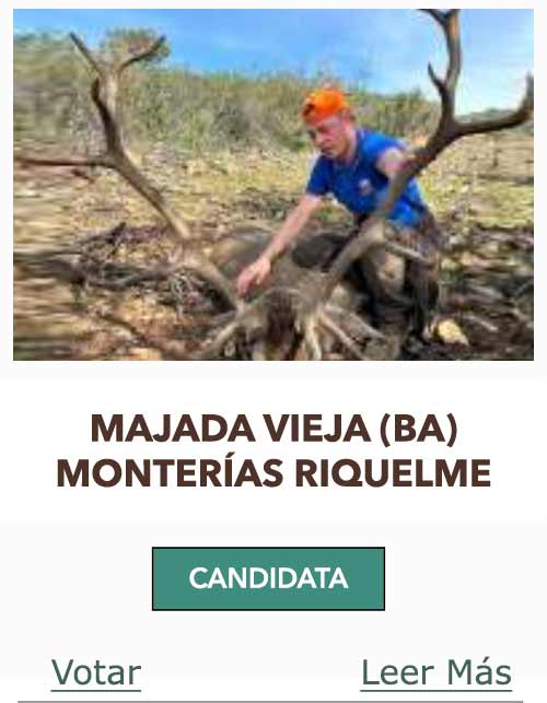 CandidatasPueblaEstellez Chaves