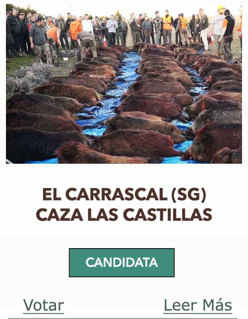 CandidatasPueblaEstellez Chaves