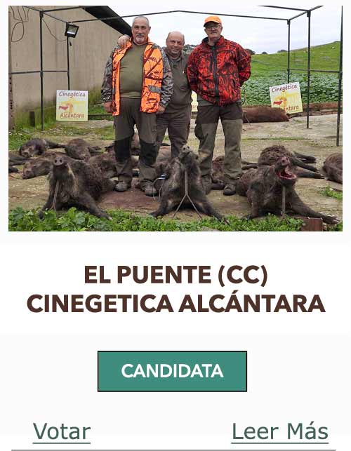 CandidatasPueblaEstellez Chaves