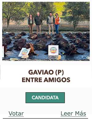 CandidatasPueblaEstellez Chaves