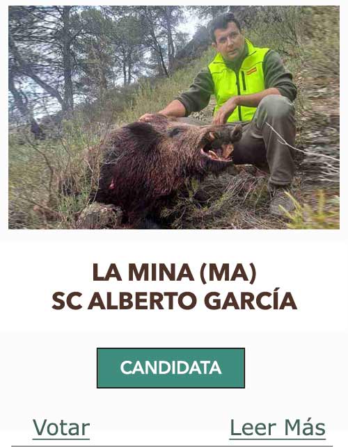 CandidatasPueblaEstellez Chaves