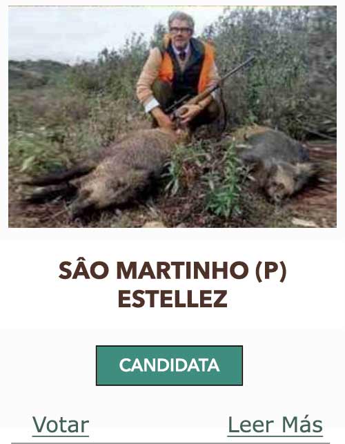 CandidatasPueblaEstellez Chaves