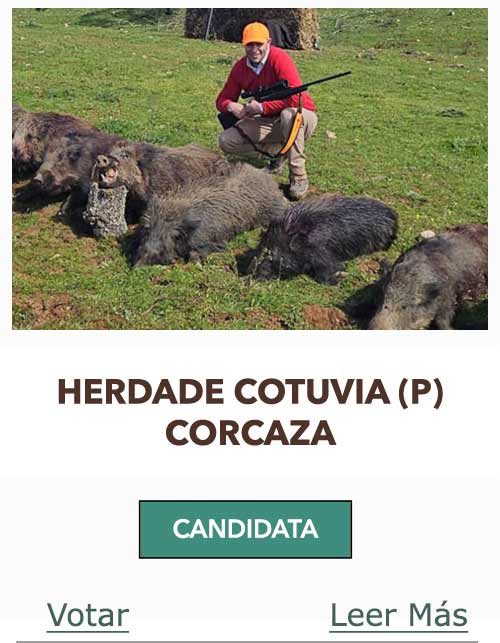 CandidatasPueblaEstellez Chaves