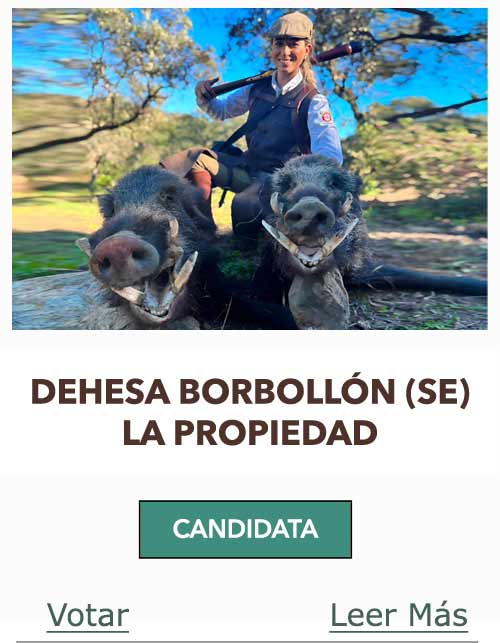 CandidatasPueblaEstellez Chaves