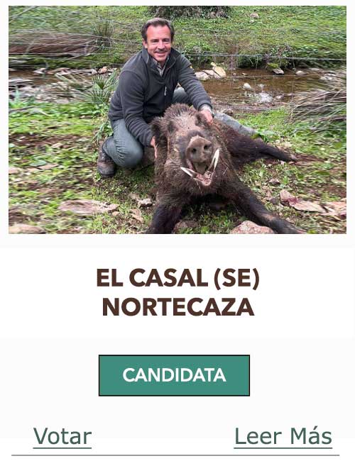 Candidatas 2023 2024 AB Asiento Farrapo