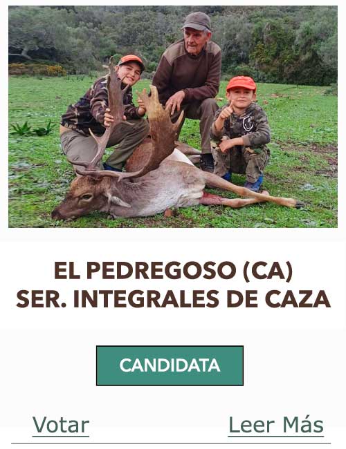 CandidatasPueblaEstellez Chaves