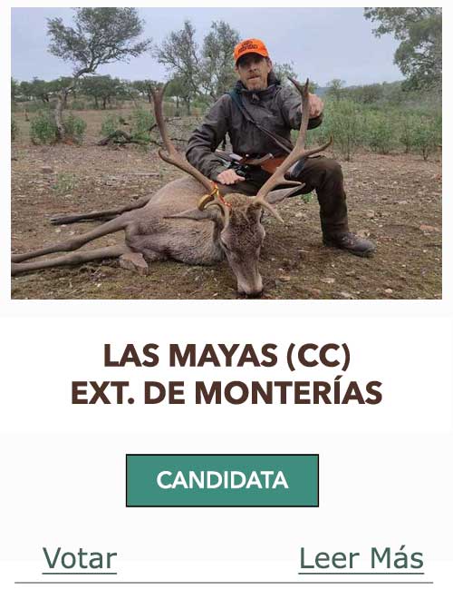 CandidatasPueblaEstellez Chaves