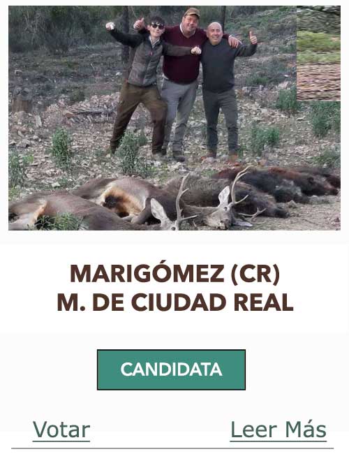 Candidatas 2023 2024 AB Asiento Farrapo