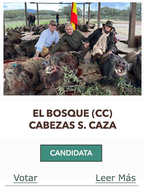 CandidatasPueblaEstellez Chaves