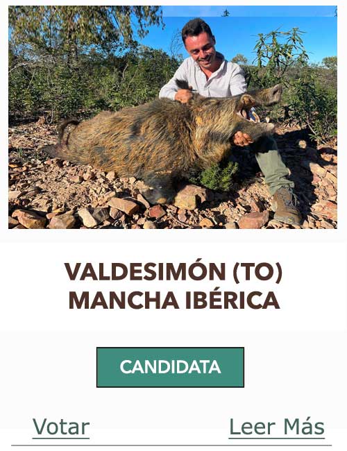 CandidatasPueblaEstellez Chaves