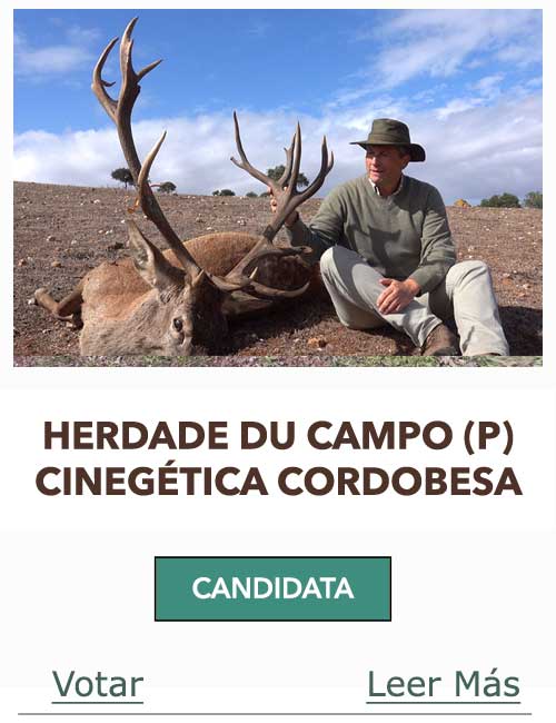 CandidatasPueblaEstellez Chaves