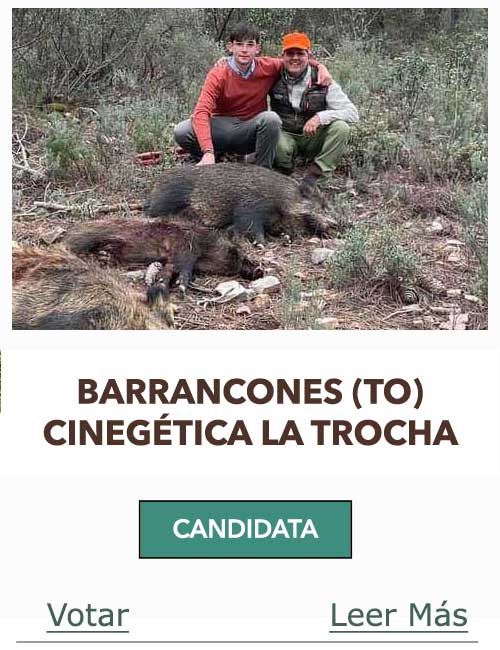 CandidatasPueblaEstellez Chaves