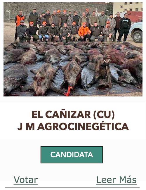 CandidatasPueblaEstellez Chaves