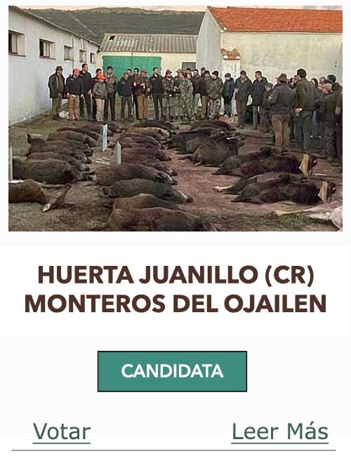 CandidatasPueblaEstellez Chaves