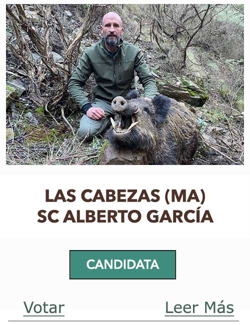 CandidatasPueblaEstellez Chaves