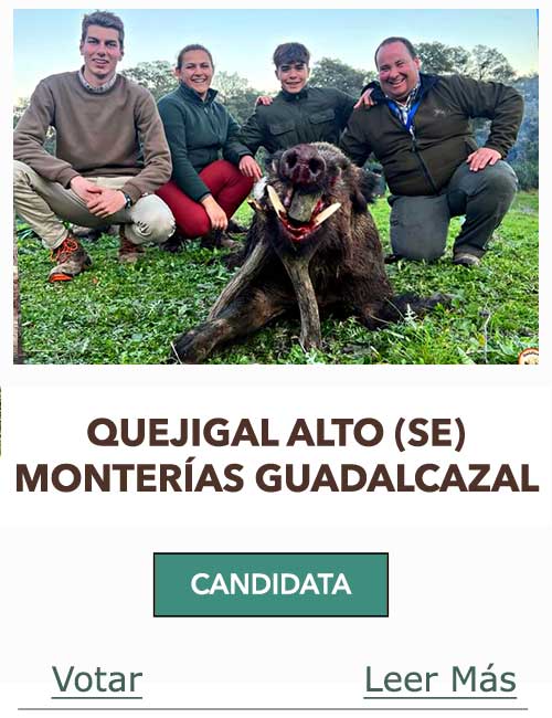 CandidatasPueblaEstellez Chaves