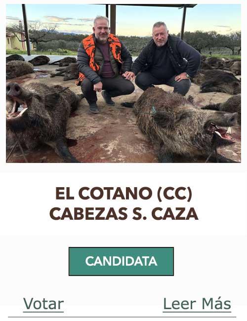 CandidatasPueblaEstellez Chaves