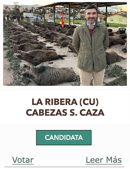 CandidatasPueblaEstellez Chaves