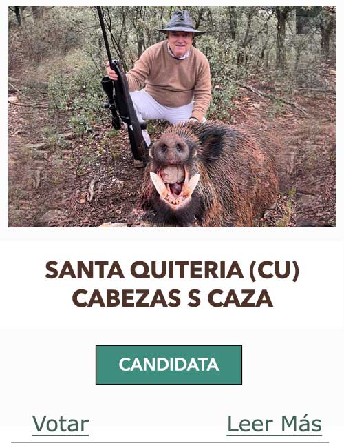 CandidatasPueblaEstellez Chaves