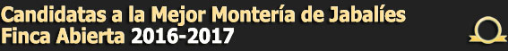 TextoCandidatasMejorMonteriadeOro20162017JabaliesAbierta