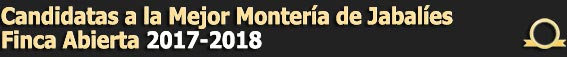 TextoCandidatasMejorMonteriadeOro20172018JabaliesAbierta