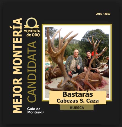 candidata20162017AABastaras1