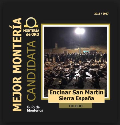 candidata20162017AAEncinarSanMartin