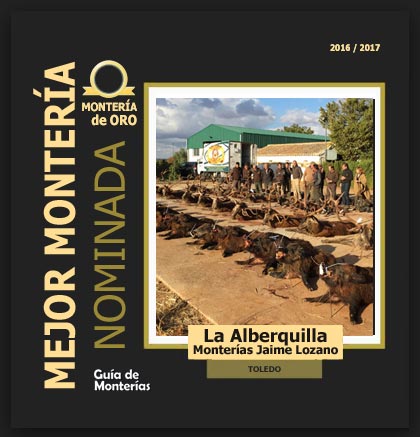 candidata20162017AALaAlberquilla