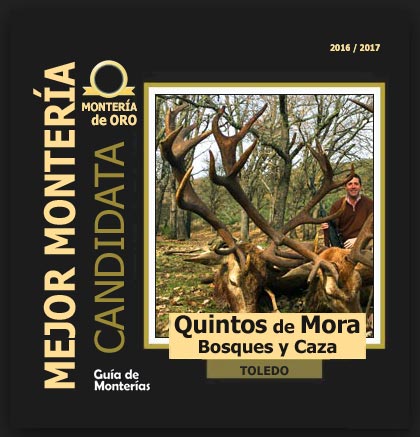 candidata20162017AAQuintosdeMora